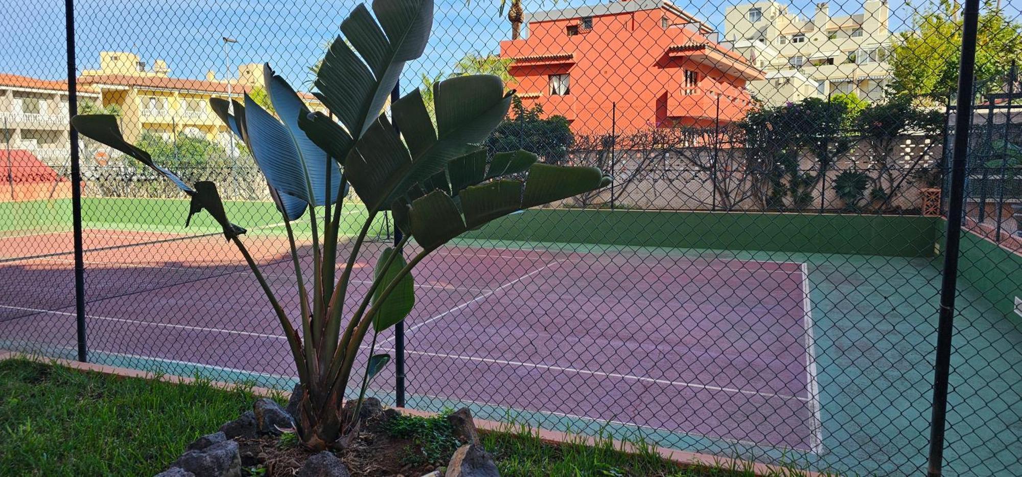 Estudio Tranquilo Cerca Del Mar. Puerto de la Cruz  Dış mekan fotoğraf